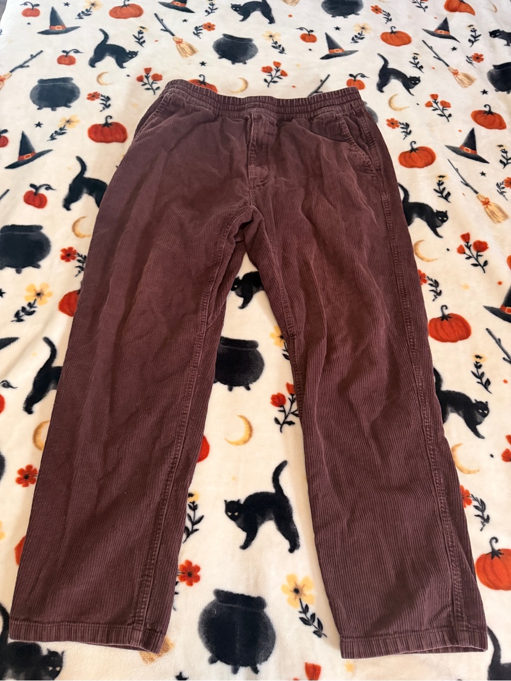Mens Carhartt WIP deep brown flint pants